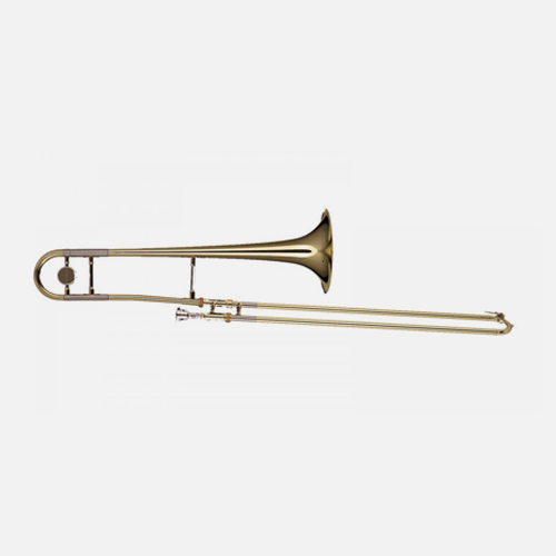 Schagerl Academica Series TP500L